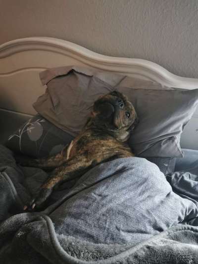 Foto Challenge Nr. 134-Beitrag-Bild