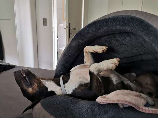 Foto Challenge Nr. 134-Beitrag-Bild