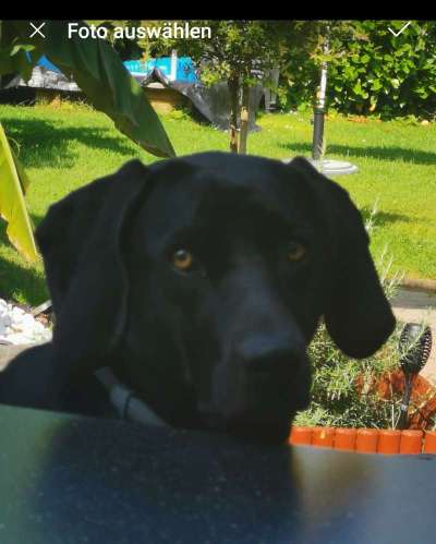 Fotochallange Nr. 57     PORTRÄT.   Beendet!!!!!!!!-Beitrag-Bild