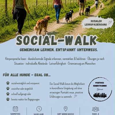 Hundetreffen-Social Walk – gemeinsam lernen, entspannt unterwegs-Bild