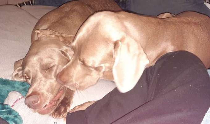 Fotochallenge Nr. 62 Romantische Momente-Beitrag-Bild