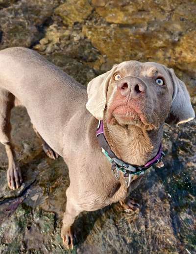 Von oben-Beitrag-Bild