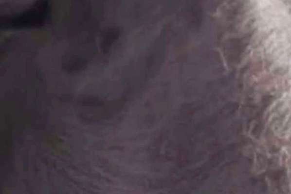 Blick fürs Detail!-Beitrag-Bild