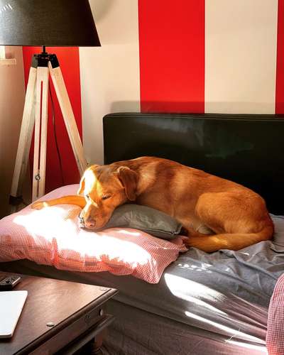 FOTO-Challenge  NR. 91: Die pure Entspannung-Beitrag-Bild