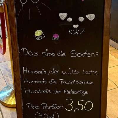 Der Wolfshof im Harz – hier gehören Hunde einfach dazu-Beitrag-Bild