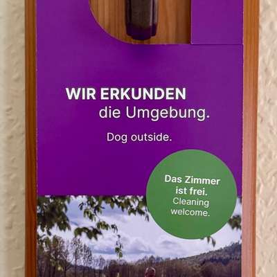 Der Wolfshof im Harz – hier gehören Hunde einfach dazu-Beitrag-Bild