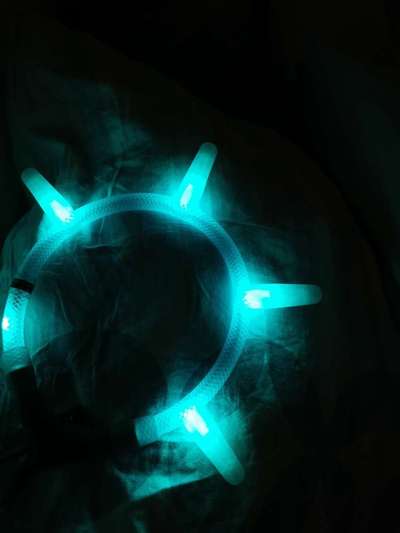 Samojede-Beitrag-Bild