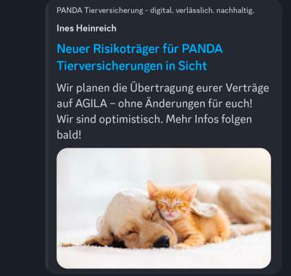 Panda Versicherung Insolvent?-Beitrag-Bild