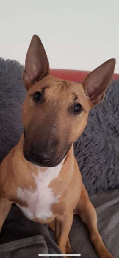 Fotochallange Nr. 57     PORTRÄT.   Beendet!!!!!!!!-Beitrag-Bild