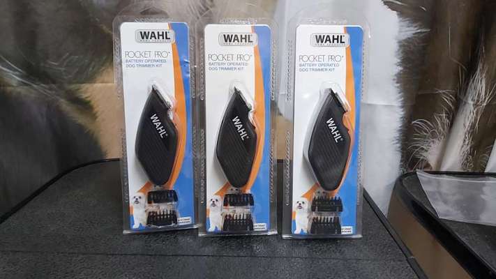 Alles rund um den Pudel-Beitrag-Bild