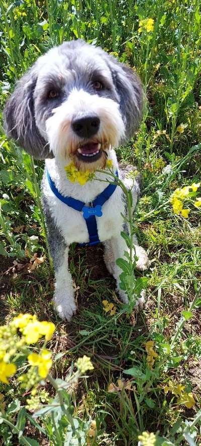 Fotochallenge Nr. 47 - Zeigt die Zähne-Beitrag-Bild