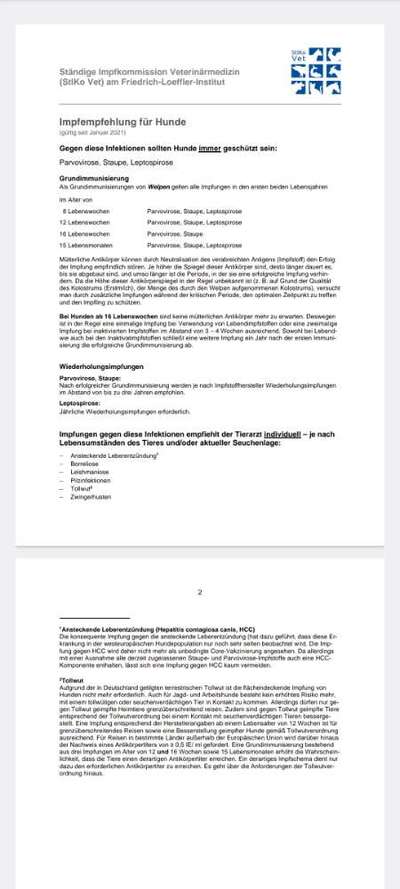 Welpenimpfung Tierarzt will 3x Impfen-Beitrag-Bild