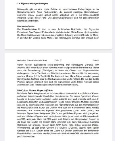 Labrador in silber/charcoal/champagner. Erfahrungen?-Beitrag-Bild