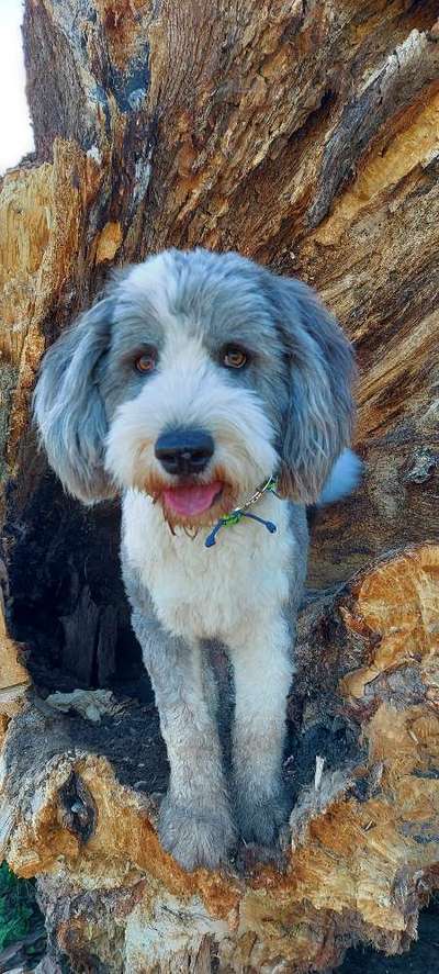 80. Foto  Challenge - Versteckt/ in einer Höhle-Beitrag-Bild