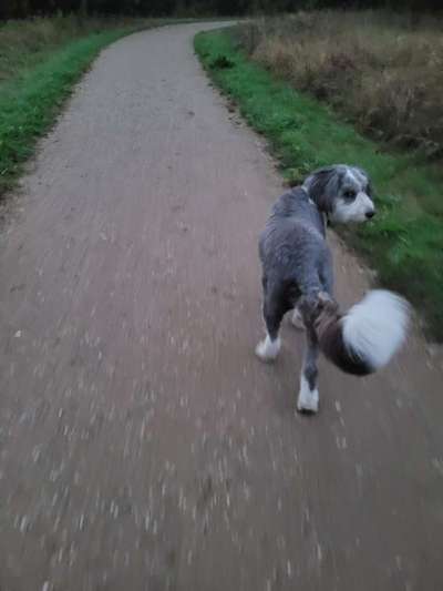 Welche Sätze hört ihr oft?-Beitrag-Bild