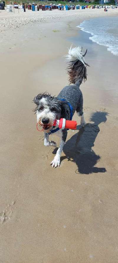 65. Handy Foto Challange                     "Ich kann nicht ohne..."-Beitrag-Bild