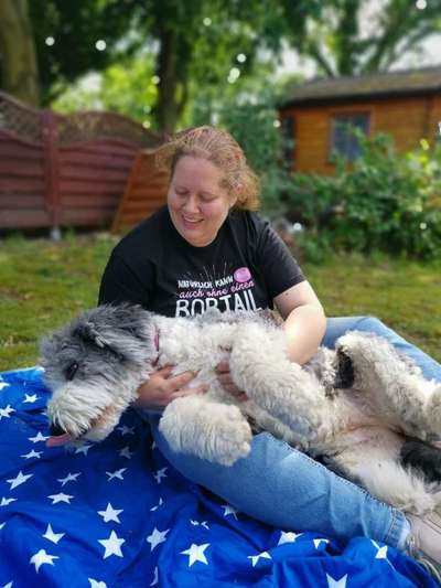 85. Foto Challenge : Schosshund-Beitrag-Bild