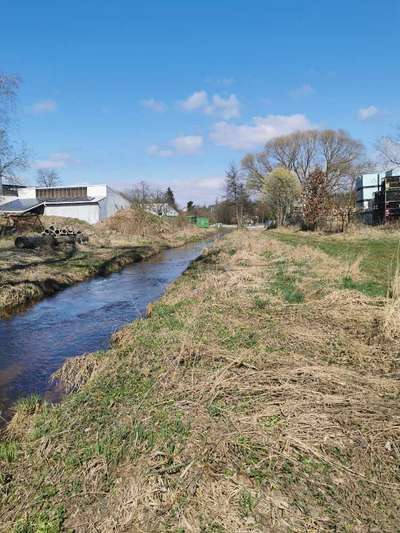 Hundeauslaufgebiet-Bruck-Bild