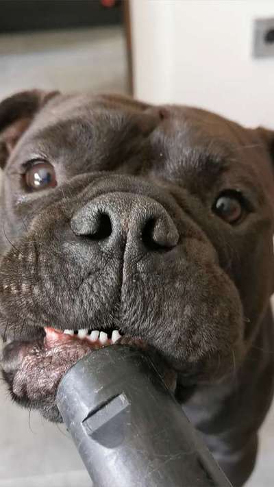 42. Handy Fotochallenge - Den richtigen Riecher haben-Beitrag-Bild