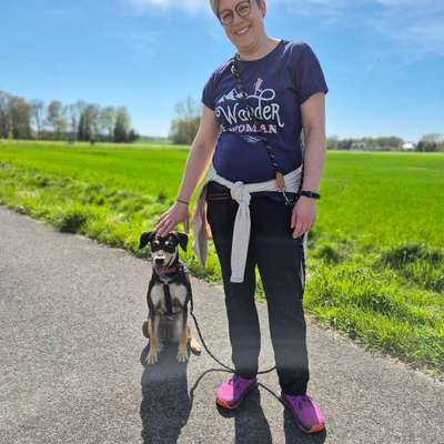 Hundetreffen-Gassi-und Spielpartner gesucht-Bild