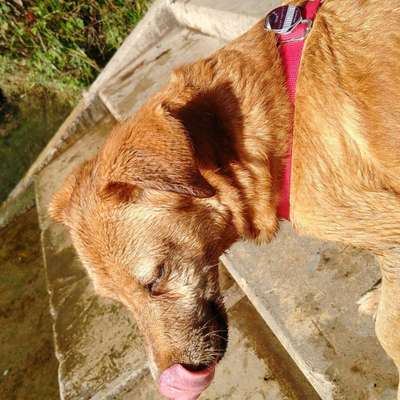 Foto Challenge Nr.133-Beitrag-Bild