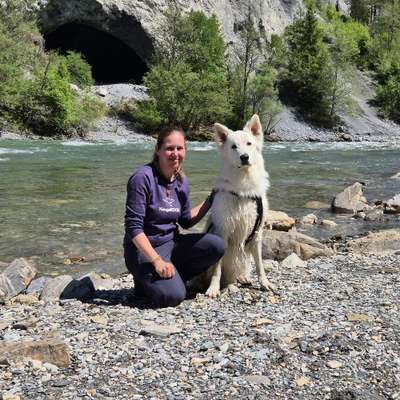 Hundetreffen-Hunde treffen in Oberegg / Reute