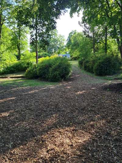 Hundeauslaufgebiet-Luisenpark-Bild