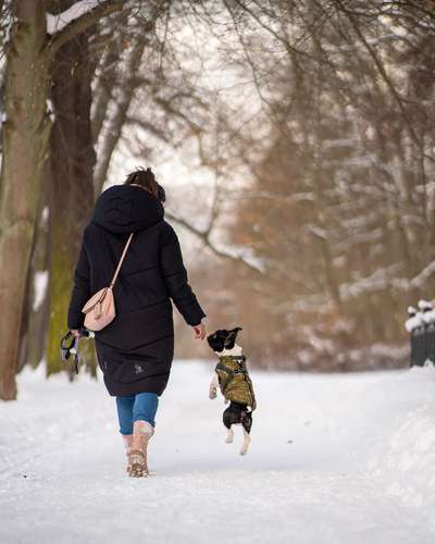 Euer schönstes Bild mit eurem Hund gemeinsam!-Beitrag-Bild