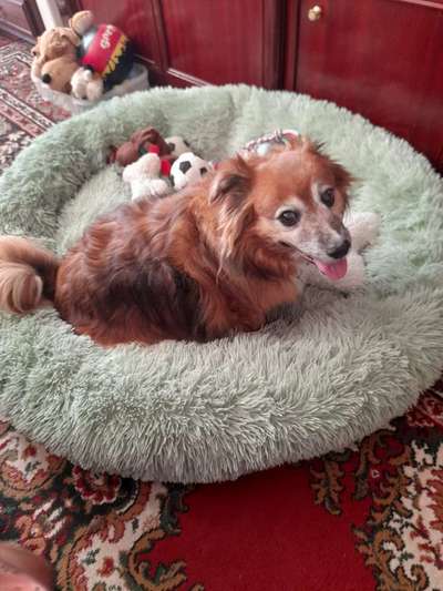 Erfahrung mit Wolkenbett-Beitrag-Bild