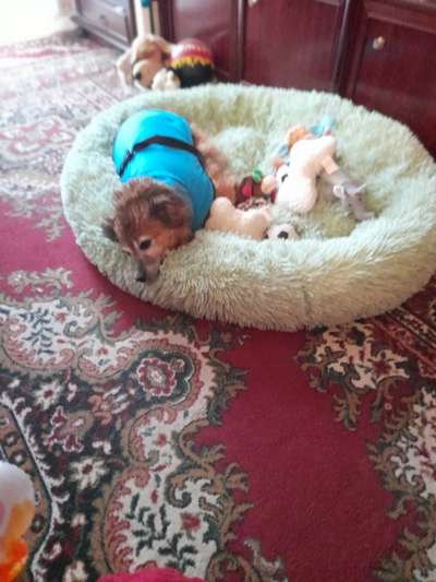 Erfahrung mit Wolkenbett-Beitrag-Bild