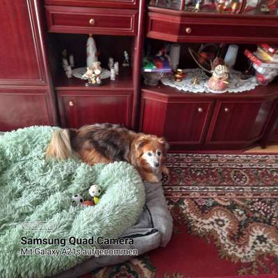 Erfahrung mit Wolkenbett-Beitrag-Bild