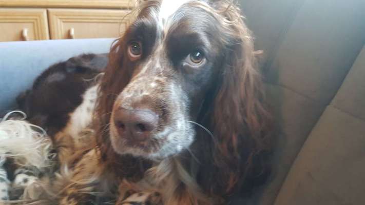 Fotochallange Nr. 57     PORTRÄT.   Beendet!!!!!!!!-Beitrag-Bild