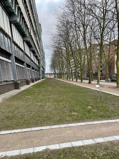 Hundeauslaufgebiet-Neustädter Neuer Weg-Bild