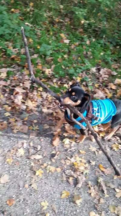 Brauche hilfe und tipps-Beitrag-Bild