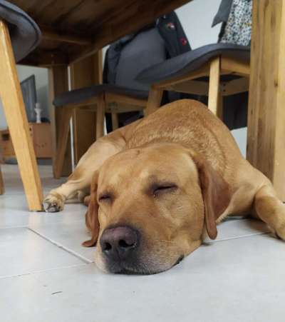 Aus wichtigem Anlass - Unterstüzug, hilfreiche Tipps und Ideen rund um 66333 Völklingen gesucht-Beitrag-Bild