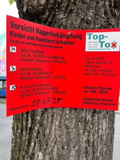 Giftköder-Rattengift am Leonrodplatz!-Bild
