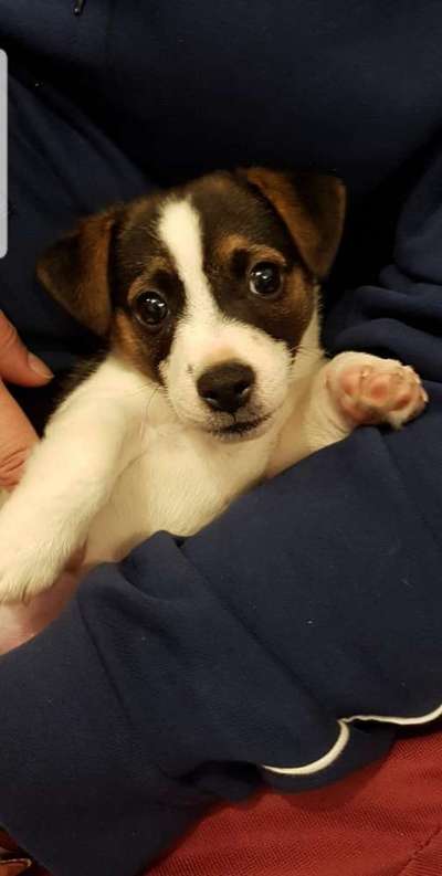 Lieblingsbild :D-Beitrag-Bild