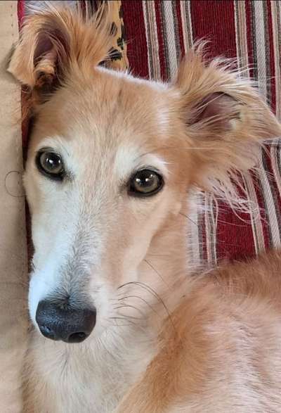 Zeigt eure Portraits-Beitrag-Bild