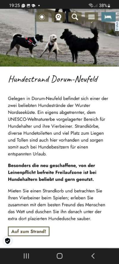 Watt gehen mit Hund-Beitrag-Bild