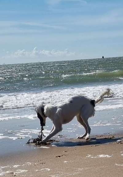 Theos Fotochallange Nummer 4-Beitrag-Bild