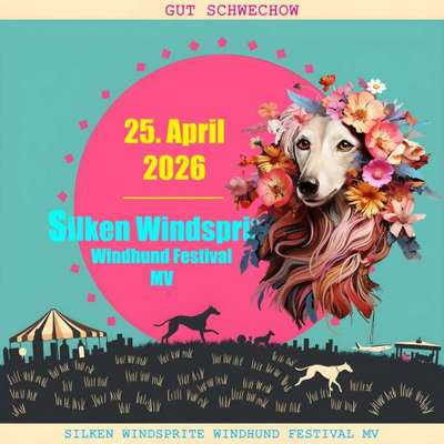 Whippet-Beitrag-Bild