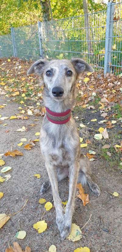 Lieblingsbild :D-Beitrag-Bild