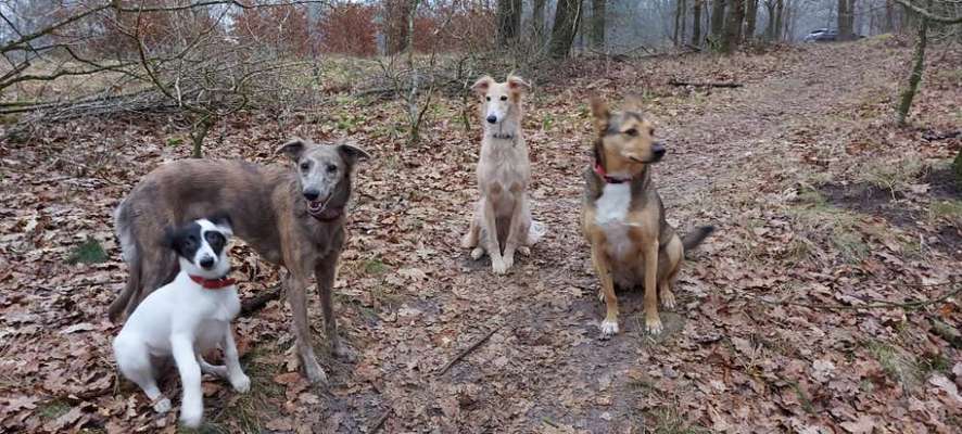 Fotochallenge 69-Beitrag-Bild