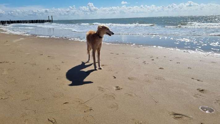 Theos Fotochallange Nummer 4-Beitrag-Bild