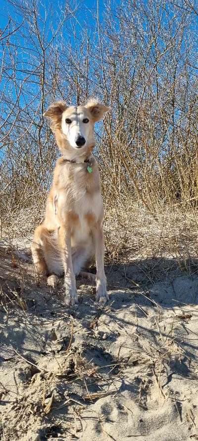 Lieblingsbild :D-Beitrag-Bild