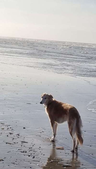 FOTOCHALLANGE NR.71 BADEFREUDE-Beitrag-Bild