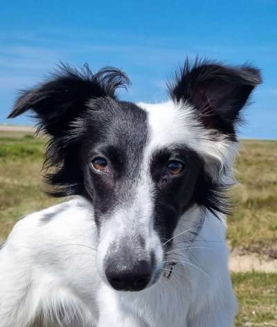 Zeigt eure Portraits-Beitrag-Bild