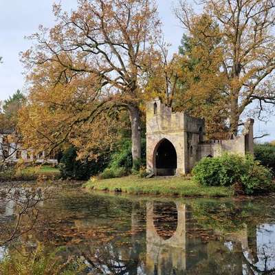 Hundeauslaufgebiet-Breidings Garten-Bild