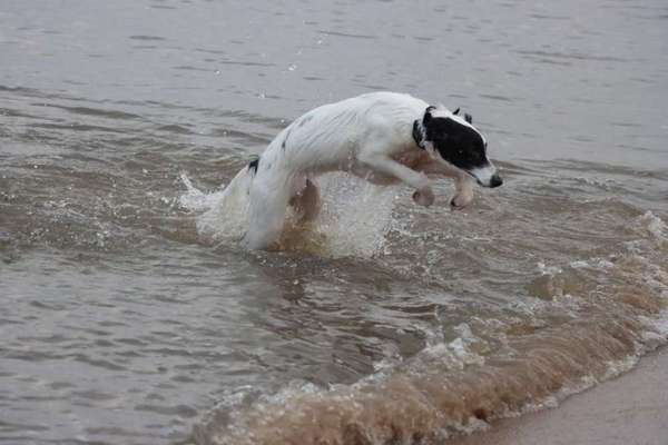 FOTOCHALLANGE NR.71 BADEFREUDE-Beitrag-Bild