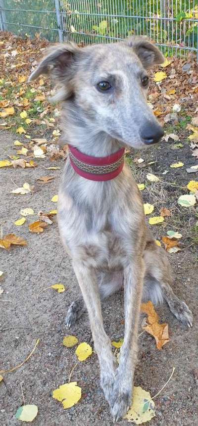 Fotochallenge Nr. 67: Euer Lieblingsbild-Beitrag-Bild